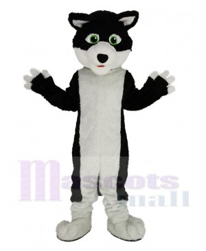 Black and White Border Collie Dog with Green Eyes Mascot Costume