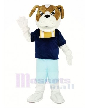 Saint Bernard Dog with Blue T-shirt Mascot Costume Animal 