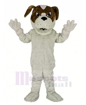 Saint Bernard Dog Mascot Costume Animal 