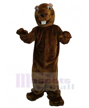 Lovely Groundhog Mascot Costume Animal
