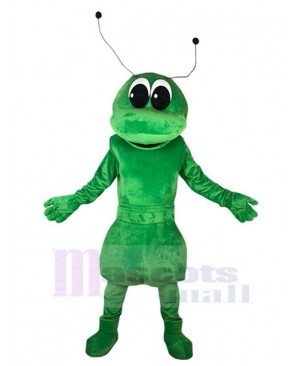 Funny Green Ant Mascot Costume Animal