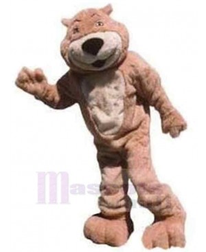 Plush Adult Bear Mascot Costume Animal