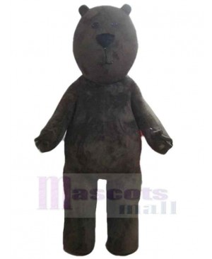 Frowning Brown Bear Mascot Costume Animal
