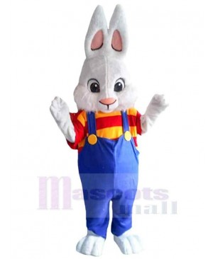 Cute Easter Bunny Boy Mascot Costume Animal