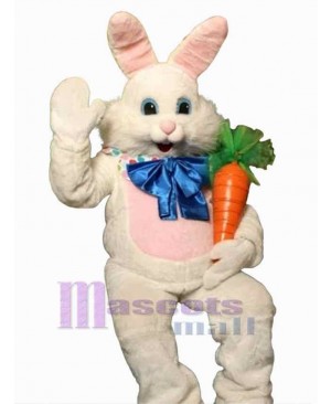 Friendly Bunny Mascot Costume Animal