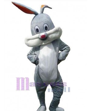 Likable Bunny Rabbit Mascot Costume Animal