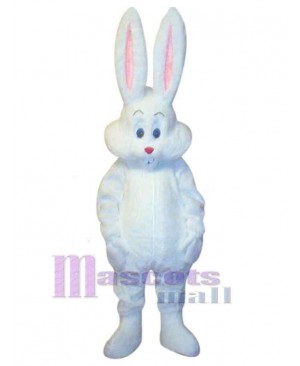 Likable Easter Bunny Rabbit Mascot Costume Animal