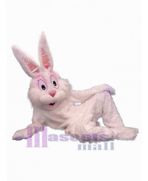 Leisure Rabbit Mascot Costume Animal