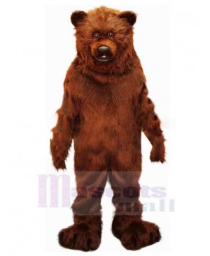 Plush Brown Bear Mascot Costume For Adults Mascot Heads