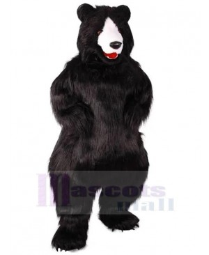 Strong Black Plush Bear Mascot Costume For Adults Mascot Heads