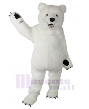 High Quality Polar Bear Mascot Costume For Adults Mascot Heads