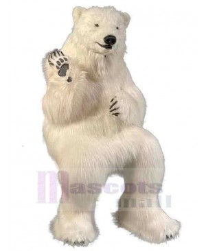 Realistic Polar Bear Mascot Costume For Adults Mascot Heads