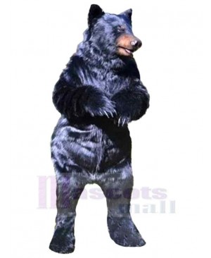 Realistic Wild Bear Mascot Costume For Adults Mascot Heads