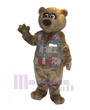 Park Bear Mascot Costume Animal