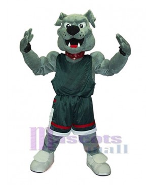 Muscle Dog Mascot Costume Animal